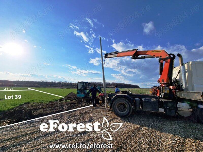 Profita acum de oferta de Paste! Loturi de casa langa padure, eForest