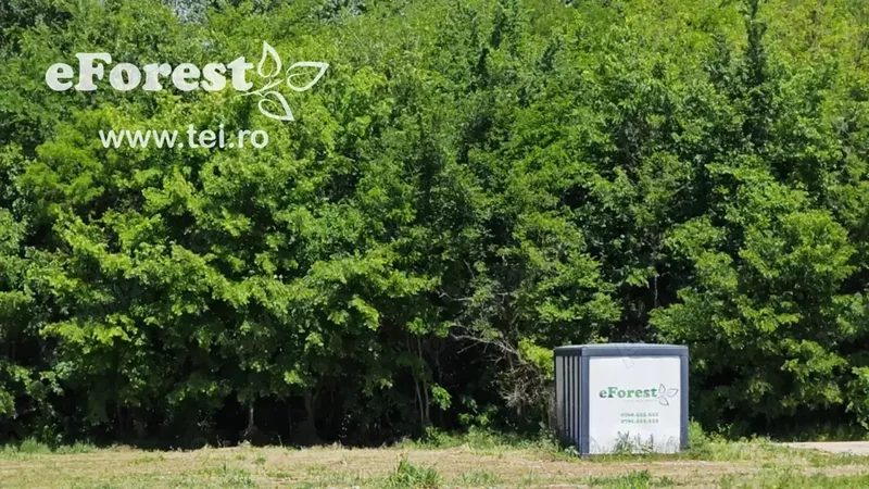 Profita acum de oferta de Paste! Loturi de casa langa padure, eForest