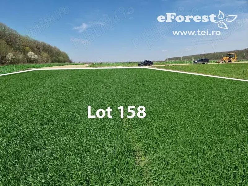 Profita acum de oferta de Paste! Loturi de casa langa padure, eForest