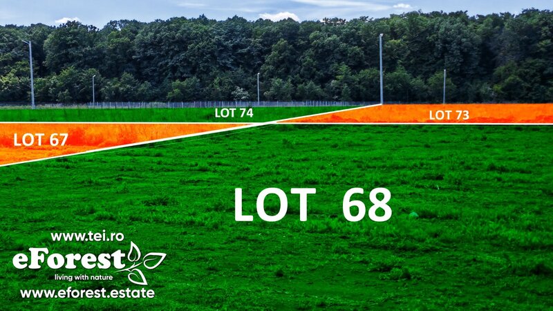 Profita acum de oferta de Paste! Loturi de casa langa padure, eForest